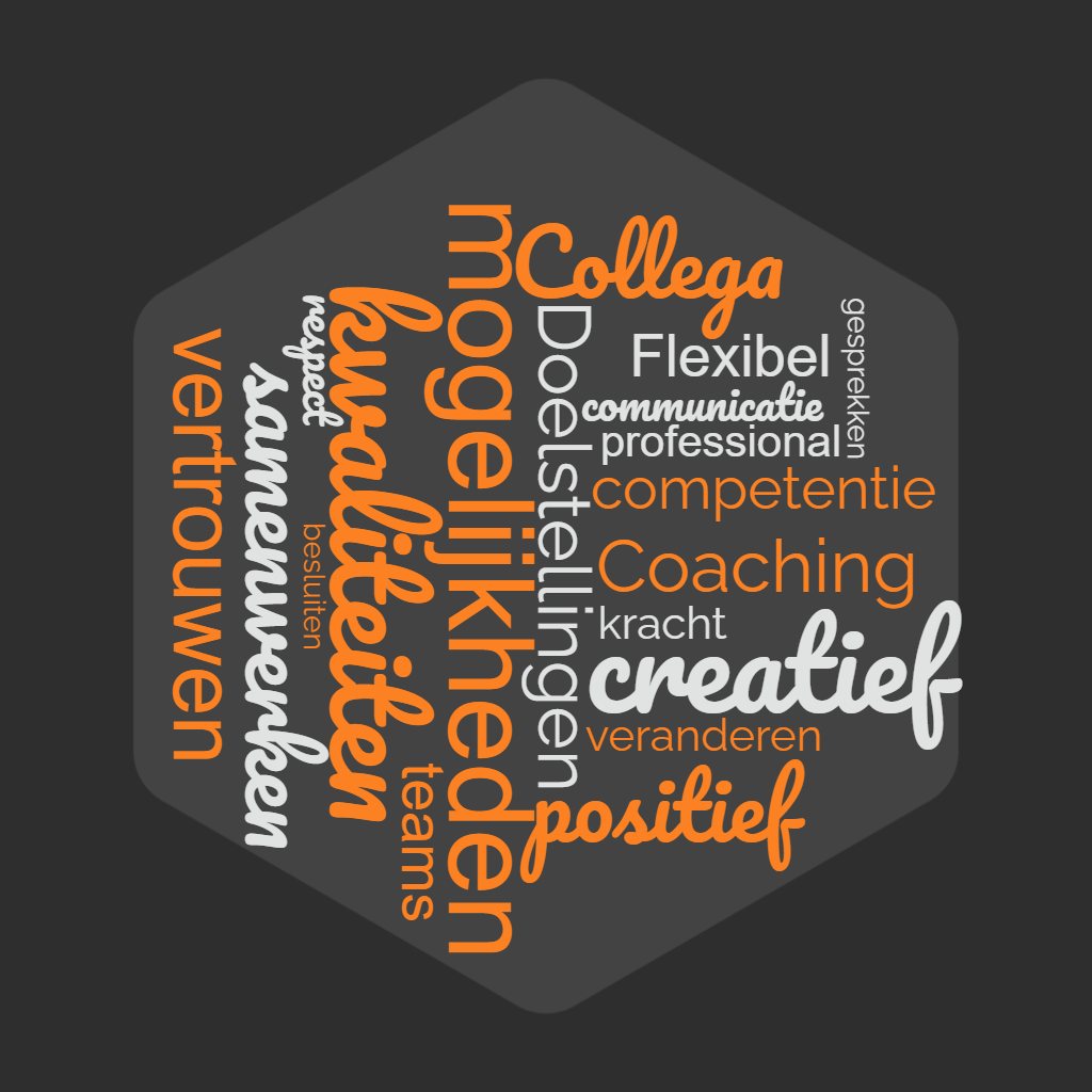 Afbeelding Coaching medewerker – platina